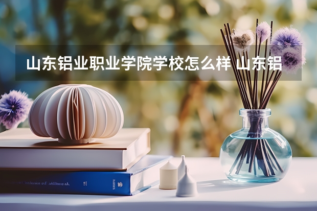 山东铝业职业学院学校怎么样 山东铝业职业学院地址在哪