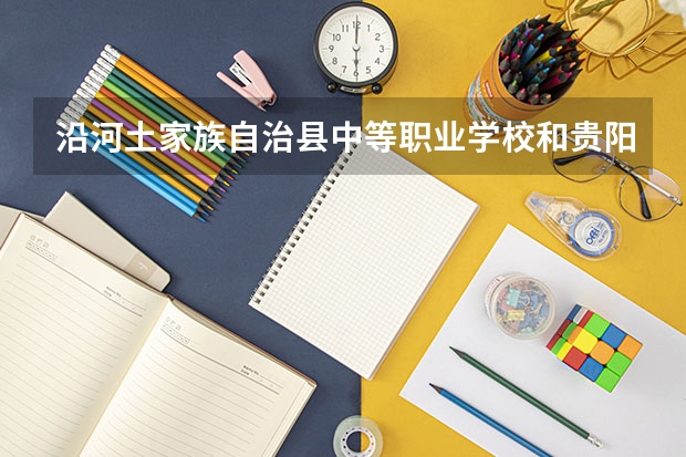 沿河土家族自治县中等职业学校和贵阳市经济贸易中等专业学校各有什么优势