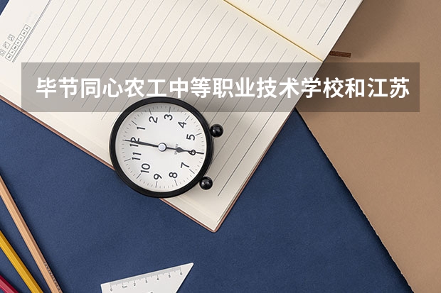 毕节同心农工中等职业技术学校和江苏省灌南中等专业学校各有什么优势