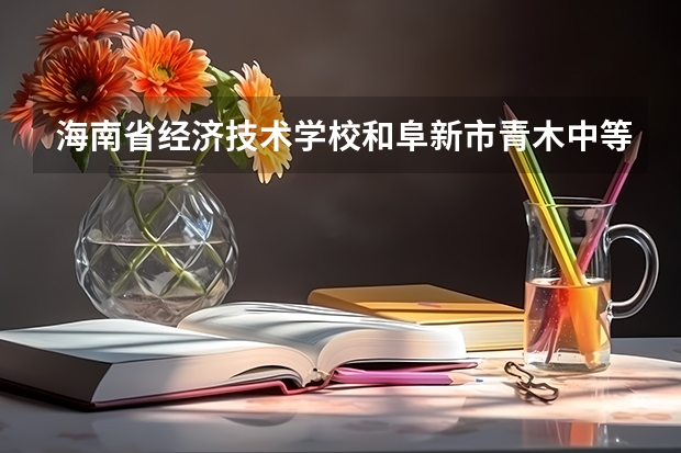 海南省经济技术学校和阜新市青木中等职业技术专业学校各有什么优势