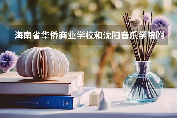 海南省华侨商业学校和沈阳音乐学院附属中等舞蹈学校各有什么优势