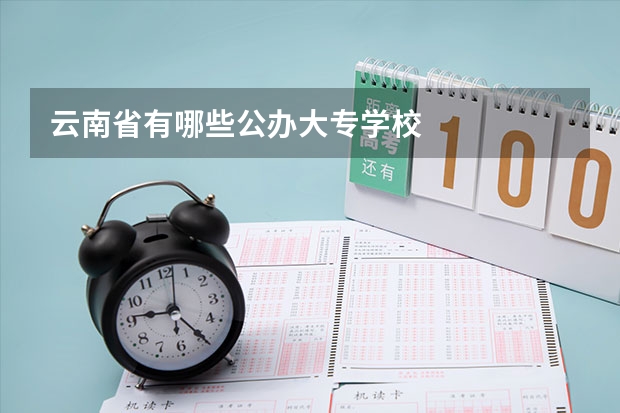 云南省有哪些公办大专学校