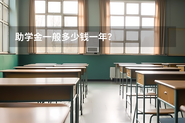 助学金一般多少钱一年？