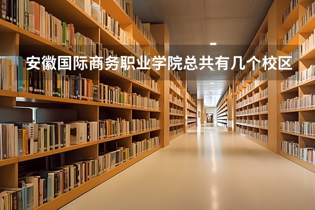 安徽国际商务职业学院总共有几个校区(各专业新生在哪个校区)