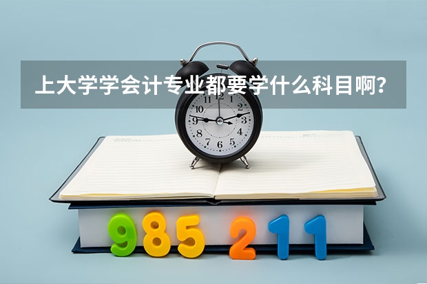 上大学学会计专业都要学什么科目啊？