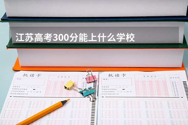 江苏高考300分能上什么学校