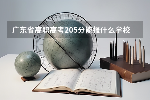 广东省高职高考205分能报什么学校?去年最低投档分160，今年110，各学院的最低录取分会不会降？