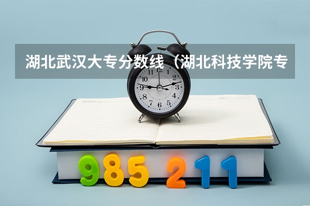 湖北武汉大专分数线（湖北科技学院专升本分数线）