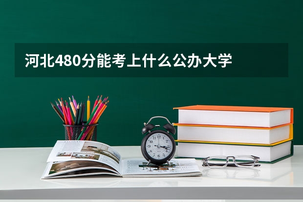 河北480分能考上什么公办大学