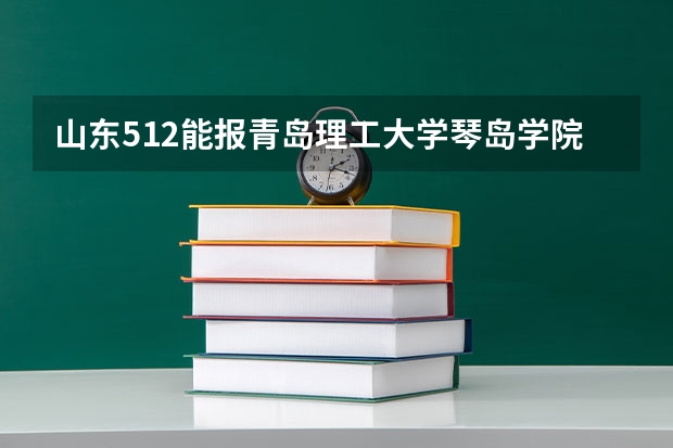 山东512能报青岛理工大学琴岛学院吗？谢谢