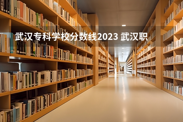 武汉专科学校分数线2023 武汉职业技术学院专业分数线